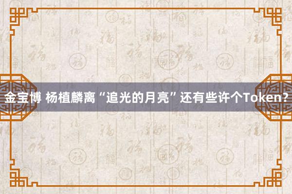 金宝博 杨植麟离“追光的月亮”还有些许个Token？