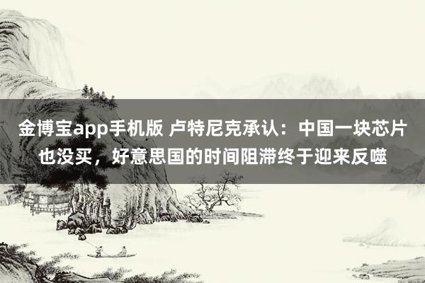 金博宝app手机版 卢特尼克承认：中国一块芯片也没买，好意思国的时间阻滞终于迎来反噬