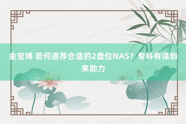 金宝博 若何遴荐合适的2盘位NAS？专科有谋划来助力