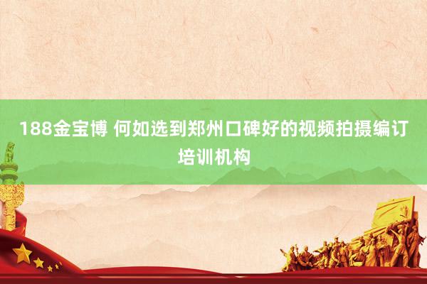 188金宝博 何如选到郑州口碑好的视频拍摄编订培训机构