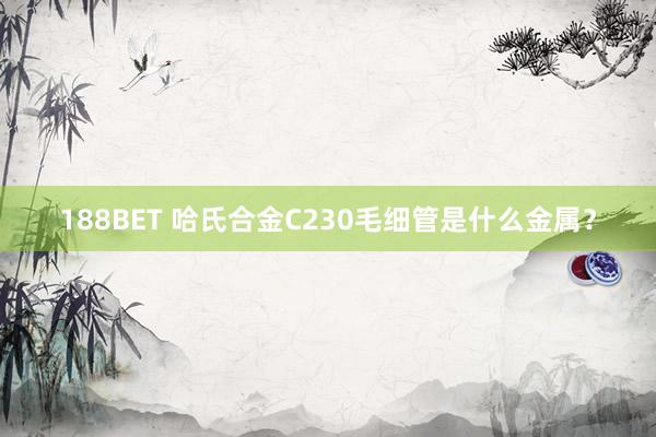 188BET 哈氏合金C230毛细管是什么金属？