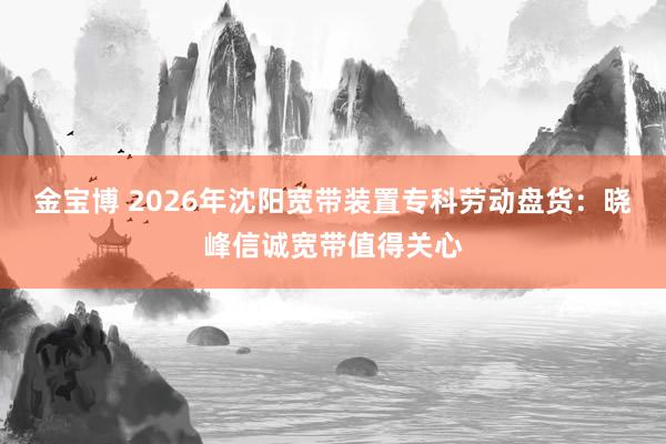 金宝博 2026年沈阳宽带装置专科劳动盘货：晓峰信诚宽带值得关心