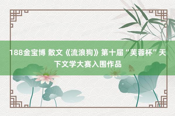 188金宝博 散文《流浪狗》第十届“芙蓉杯”天下文学大赛入围作品