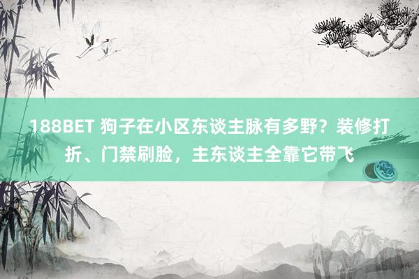 188BET 狗子在小区东谈主脉有多野？装修打折、门禁刷脸，主东谈主全靠它带飞