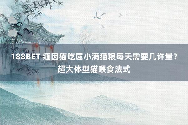 188BET 缅因猫吃屈小满猫粮每天需要几许量？超大体型猫喂食法式