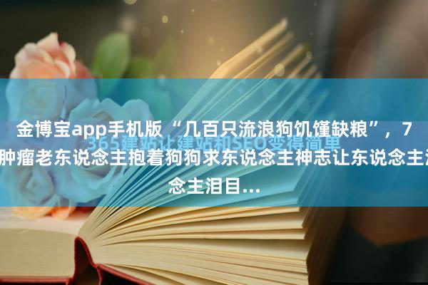 金博宝app手机版 “几百只流浪狗饥馑缺粮”，76岁患肿瘤老东说念主抱着狗狗求东说念主神志让东说念主泪目...
